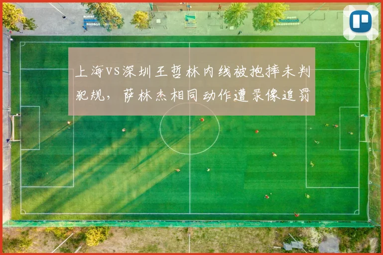 上海vs深圳王哲林内线被抱摔未判犯规，萨林杰相同动作遭录像追罚遭炮轰
